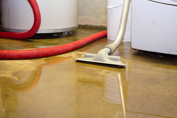 Best Residential water damage restoration  in Elgin, TX