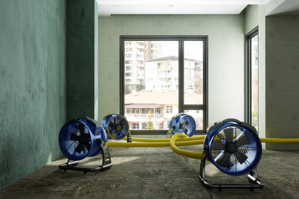 Best Fire Damage Restoration  in Elgin, TX